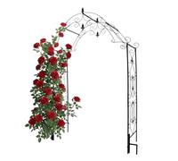 Relaxdays, Arco para Rosas de Metal, jardín (Al x An x Prof) 250 x 130 x 40 cm, Robusto para trepadoras, Negro