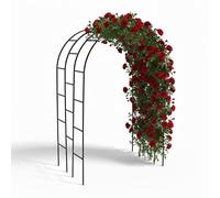 Relaxdays Arco rosal de hierro negro