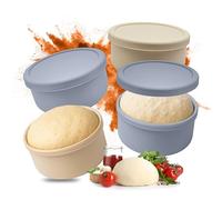 Relaxdays Caja para teques de Pizza, 4 Unidades, Silicona, hasta 350 g de Masa, HxD: 6,5 x 14,5 cm, Recipiente con Tapa.