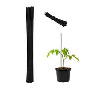 Relaxdays Cañas Bambú, Set 50, 60 cm, Hierro, Soporte para Tomates para Más Estabilidad, 6 mm Ø, Palos Jardín, Negro