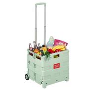 Relaxdays Carro de la compra con asa telescópica verde,plata