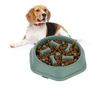 Relaxdays Comedero Antivoracidad Perro Diseño Huesos, Plato Canino Antiansiedad 500 ml, 4,5x19,5 cm, Verde