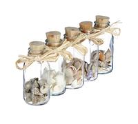 Relaxdays Conchas de Mar Decoración, Pack de 5 Botellas Cristal Mini, Estilo Marítimo, Caracolas Marinas, Multicolor, Nácar, 1 Ud