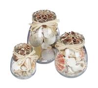Relaxdays Conchas de mar decoración, Set 3 botes crema,transparente