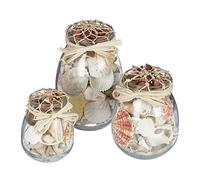 Relaxdays Conchas de mar decoración, Set 3 botes crema,transparente