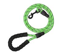 Relaxdays Correa Perros Grandes y Pequeños, 150cm, Reflectante, Mango Acolchado, Adiestramiento Cachorros, Nylon, Verde
