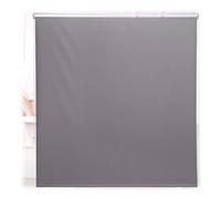 Relaxdays Cortina Enrollable Ducha Cadena, Estor Traslúcido, Repele el Agua, Montaje Techo/Pared, 160x240 cm, Gris