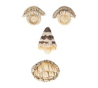 Relaxdays Decoración de cara de árbol antracita,beige,marrón claro