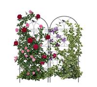 Relaxdays Enrejado con pájaro set negro