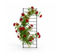 Relaxdays Enrejado para Pared, Set de 1, (Al x An): 210 x 76 cm, Negro