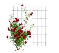 Relaxdays Enrejado para trepadoras, Juego de 2, Metal, Soporte para Rosas, 115 x 45 cm, Negro