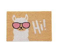 Relaxdays Felpudo Llama, Coco, 60 x 40 cm, Antideslizante, Resistente Intemperie, Alfombra Interior/Exterior, Multicolor, 100%, 1.5 x 60 x 40 cm