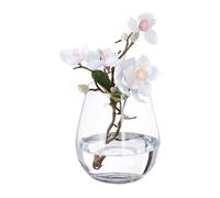 Relaxdays Florero Vidrio, Jarra Cristal para Flores, para Tulipanes, Rosas y más, Alto, Redondo, 16x14 cm, Transparente, L