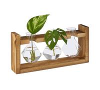 Relaxdays Floreros Pequeños, 3 Jarrones Geométricos Cristal, Plantas, Hidroponía, 13x28x6,5 cm, Transparente/Natural