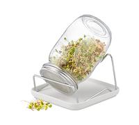 Relaxdays Germinador de Semillas, Soporte y Bandeja de Cerámica, Frasco para Brotes, 850 ml, Germinación, Transparente