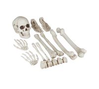Relaxdays Esqueleto Decoración Halloween, Kit 12 Huesos Decorativos, Interior y Exterior, Calavera, Manos y más, Crema