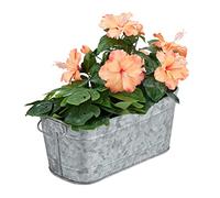 Relaxdays Jardinera, para Jardín, Balcón e Interior, para Plantar, Diseño Vintage, Metal, 16 x 38 x 19 cm, Plateado