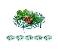 Relaxdays Juego de 6 alcanzadores Soporte para Fresas, Set de 6, Protección contra Caracoles, Plástico, Rejilla Anti Putrefacción y Moho, Verde, 10 x 30 cm