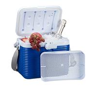 Relaxdays Nevera Portátil Pequeña con Asa y Correa, Plástico, Azul y Blanco, 8 L, 23,5 x 31 x 21 cm
