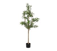 Relaxdays Olivo artificial decorativo verde oscuro,marrón claro,negro