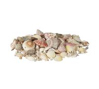 Relaxdays Pack Marinas Mediano para Decoración o Manualidades, Conchas Verdaderas, Multicolor, 1 kg, Nácar, 18x18x11 cm