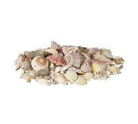 Relaxdays Pack Marinas Mediano para Decoración o Manualidades, Conchas Verdaderas, Multicolor, 1 kg, Nácar, 18x18x11 cm