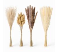 Relaxdays Pampas Seca, Set 144, 41 cm, Flores secas, decoración Boho, Ramo de Flores secas, Colorido