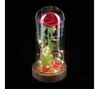 Relaxdays Rosa eterna en cristal con luces marrón oscuro,verde oscuro,rojo