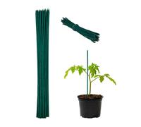 Relaxdays Set de 100 cañas de bambú verdes de 30cm verde oscuro