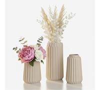 Relaxdays Set de 3 jarrones, jarrones para Flores, 3 tamaños, cerámica, decoración de Mesa, Beige