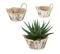 Relaxdays Set de 3 macetas redondas de abedul blanco,marrón claro,negro