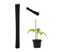 Relaxdays Set de 50 cañas de bambú negras de 60 cm negro