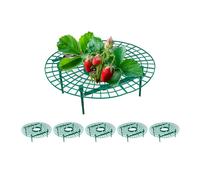 Relaxdays Set de 6 soportes para fresas verde