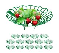 Relaxdays Set de soportes para fresas verde