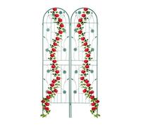 Relaxdays Soportes enredaderas set de 2 200 cm verde