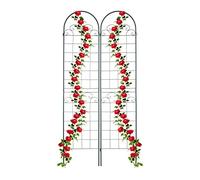 Relaxdays Soportes enredaderas set de 2 220 cm verde oscuro