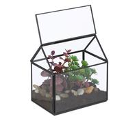 Relaxdays Terrario cristal para plantas forma casa negro,transparente