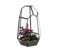Relaxdays Terrario geométrico cristal plantas negro,transparente