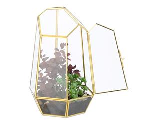 Relaxdays Terrario geométrico de cristal oro,transparente