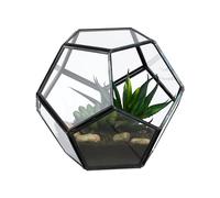 Relaxdays Terrario para Plantas estaño, Invernadero para Cactus, Caja de Vidrio Abierta para Ventana, Negro, Metal, 12 x 14 x 14 cm