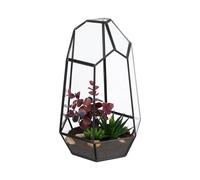 Relaxdays Terrario para Cactus y Musgo en Cristal y Cobre, casa Decorativa Abierta, 25x17x15 cm, Negro