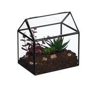 Relaxdays Terrario Plantas, Cristal y Cobre, Casa Decorativa Vidrio para Cactus y Musgo, Terrarium Alféizar, Negro, Metal, 16 x 16 x 11,5 cm