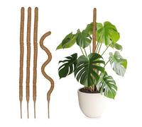Relaxdays Pack 5 Tutores para Plantas de Fibra de Coco, Guías Flexibles para Monstera, Hiedra, 90 cm de Largo, Natural, Yute