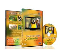 Relaxing Birds DVD - Tropical Birds and Butterflies with Classical Music from the Masters - Cute Birds and Colorful Butterflies in Vivid Colors for Kids and Family Pets