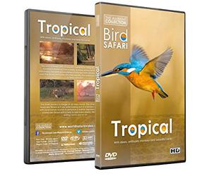 Relaxing Nature DVD - Bird Safari - Tropical Birds and Wildlife Scenery with Relaxing Music or Nature Sounds