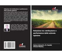 Relazione tra retribuzione e performance delle aziende egiziane