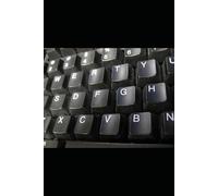 Relazioni Parasociali. Psicologia, Società e Cultura nell’Era Digitale: Come i legami emotivi con influencer, streamer e figure mediali stanno trasformando la vita e la cultura digitale