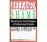 Released from Shame: Recovery for Adult Children of Dysfunctional Families (People Helper Books)