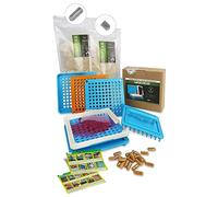 Relleno de cápsulas + 1000 cápsulas vacías HPMC tamaño 2 - mitades separadas - no es necesario abrir previamente - Máquina de llenado de cápsulas con 100 agujeros para rellenar tú mismo (pluma + 1000)