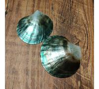 Relleno de jarrón de conchas marinas, 2 piezas de 8 a 9 cm, color negro, nácar pulido, Pinctada Margarilifera, concha de mar, hecho a mano, contenedor de caviar